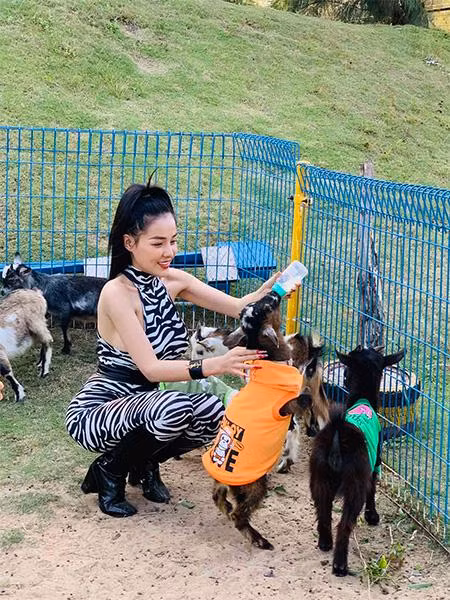 Chơi đùa, cho động vật ăn… là những trải nghiệm không thể bỏ lỡ tại công viên Safari (Ảnh: FLC Zoo Safari Quy Nhon)
