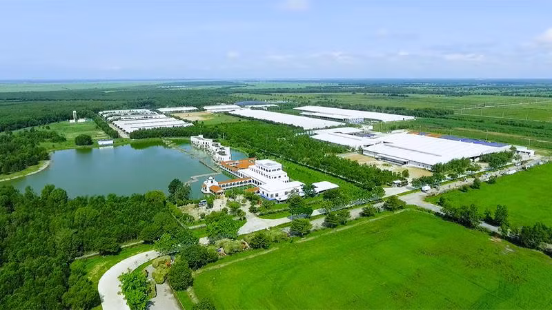Toàn cảnh “Resort” bò sữa Vinamilk Tây Ninh, một trong 13 trang trại của Vinamilk tại Việt Nam Toàn cảnh “Resort” bò sữa Vinamilk Tây Ninh, một trong 13 trang trại của Vinamilk tại Việt Nam