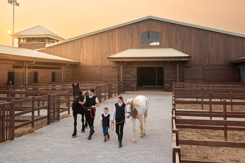 Vinpearl Horse Academy Vũ Yên có những chương trình đào tạo bài bản giúp học viên, cư dân Vinhomes Royal Island rèn luyện thể lực, trí lực thông qua bộ môn thể thao cưỡi ngựa. Vinpearl Horse Academy Vũ Yên có những chương trình đào tạo bài bản giúp học viên, cư dân Vinhomes Royal Island rèn luyện thể lực, trí lực thông qua bộ môn thể thao cưỡi ngựa.