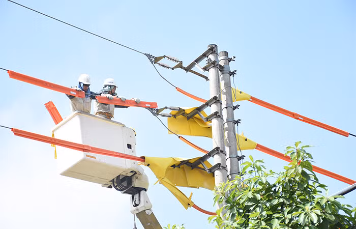EVNHANOI thực hiện kiểm tra đường dây và áp dụng triển khai sửa chữa điện nóng nhằm đảm bảo cung cấp điện liên tục, an toàn trong dịp lễ Quốc khánh 2/9