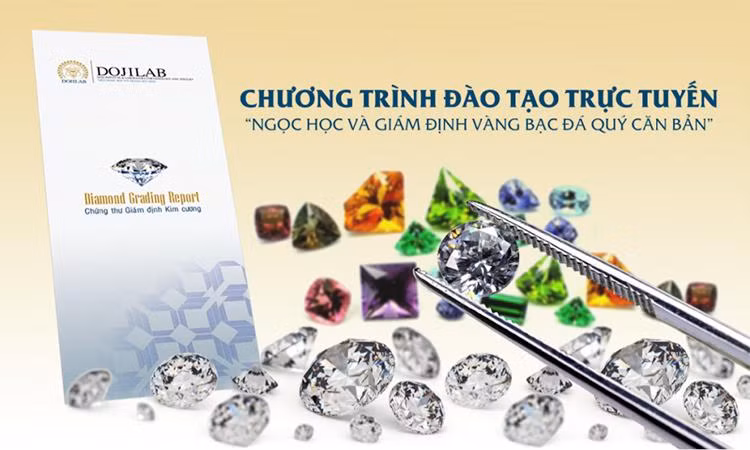 Các khóa học đào tạo tại DOJILAB đem đến cho học viên những kiến thức chuyên ngành về Ngọc học và giám định Vàng bạc đá quý Các khóa học đào tạo tại DOJILAB đem đến cho học viên những kiến thức chuyên ngành về Ngọc học và giám định Vàng bạc đá quý