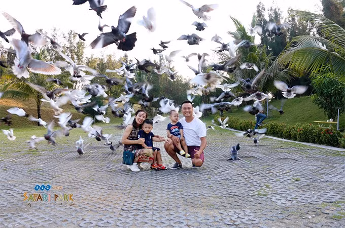Du khách mua combo được miễn phí vé vào cửa Eo Gió, FLC Zoo Safari Park và ưu đãi tới 50% các dịch vụ 5*