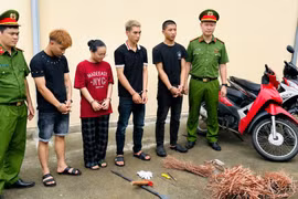 Khởi tố nhóm chuyên đột nhập công trình trộm cắp cáp điện liên tỉnh