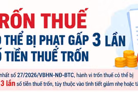 Cảnh báo: Hành vi trốn thuế có thể bị phạt tiền gấp 3 lần
