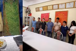 Khởi tố nhóm đối tượng livestream chiếm đoạt hơn 1 tỷ đồng của người "đãi vàng trên mạng"