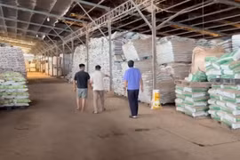 Khởi tố nhóm đối tượng buôn bán 24.000 tấn phân bón giả