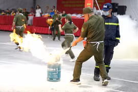 Các đội thi tham gia tranh tài