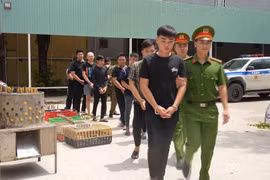 Công an TP.HCM triệt phá đường dây trộm cắp, tiêu thụ 2.700 con mèo