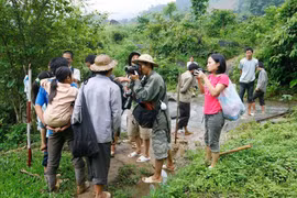 Những khúc cua trên đường tác nghiệp