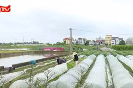 Đề xuất Nhà nước quyết định giá đất dựa trên dữ liệu, chống thao túng giá