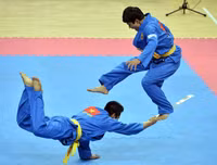 Vovinam-Niềm tự hào võ thuật thể thao dân tộc Việt Nam khiến bạn bè quốc tế kính nể