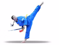 Vovinam-Niềm tự hào võ thuật thể thao dân tộc Việt Nam khiến bạn bè quốc tế kính nể