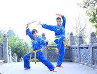Vovinam-Niềm tự hào võ thuật thể thao dân tộc Việt Nam khiến bạn bè quốc tế kính nể