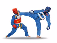 Vovinam-Niềm tự hào võ thuật thể thao dân tộc Việt Nam khiến bạn bè quốc tế kính nể