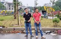 Toàn cảnh vụ 