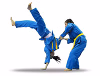 Vovinam-Niềm tự hào võ thuật thể thao dân tộc Việt Nam khiến bạn bè quốc tế kính nể