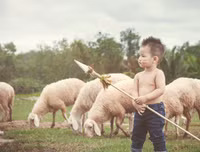 Ngỡ ngàng trước hình ảnh 
