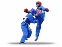 Vovinam-Niềm tự hào võ thuật thể thao dân tộc Việt Nam khiến bạn bè quốc tế kính nể