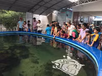 Bảo tàng Hải dương học - nơi khám phá đại dương và giáo dục về tài nguyên, chủ quyền biển đảo