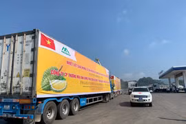 Hải quan yêu cầu đẩy nhanh thông quan sầu riêng xuất khẩu sang Trung Quốc