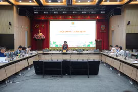 Thương mại điện tử xuyên biên giới: Đề xuất liên thông cổng Hải quan, chủ sàn phải khai thay người mua - bán