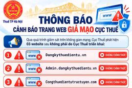 Cơ quan Thuế khuyến cáo người dân không truy cập 3 website giả mạo
