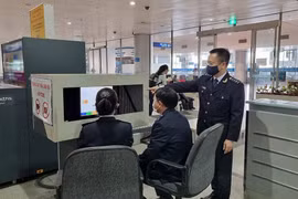 Chuyển Hải quan Sân bay Tân Sơn Nhất về Chi cục Hải quan khu vực XV