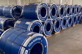 Hai kiểm toán viên bị đình chỉ do sai sót trong báo cáo tài chính của Thép Nam Kim