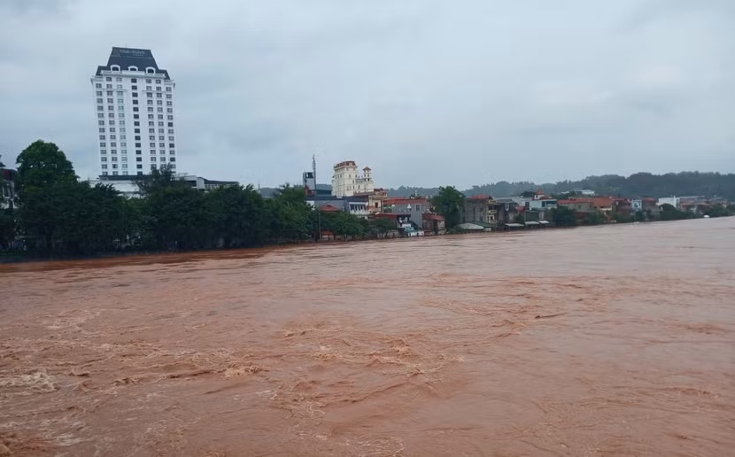 antd-song-ky-cung.jpg