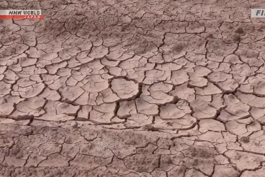 Tổ chức Khí tượng Thế giới dự báo ra sao về hiện tượng El Nino?