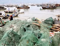 [Ảnh] Đội tàu đánh cá 