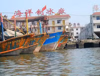 [Ảnh] Đội tàu đánh cá 