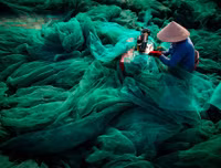 Thông điệp về môi trường thế giới qua những bức ảnh đoạt giải CIWEM 2019