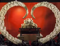 Cận cảnh 