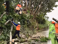[Ảnh] Người Mỹ hối hả trong guồng quay chống đỡ siêu bão Dorian