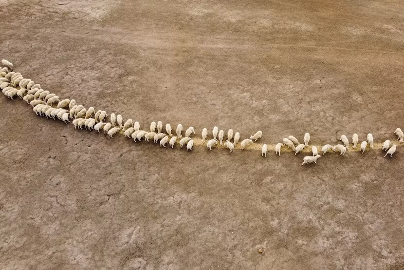 1000049668.jpg