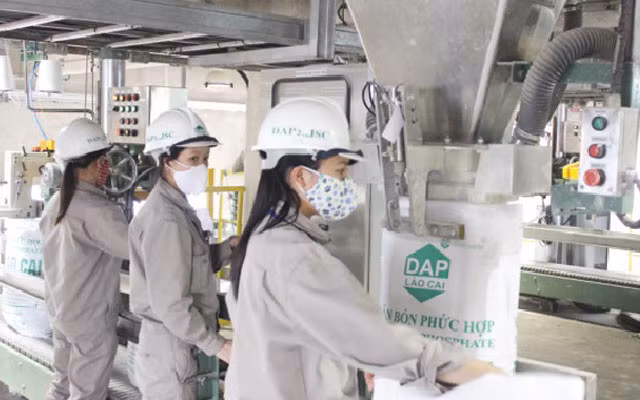 Vướng mắc về chính sách thuế GTGT với mặt hàng phân bón cần sớm tháo gỡ