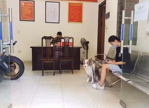 CAP Hàng Trống lập bên bản xử phạt cô gái dắt chó đi dạo ngoài phố