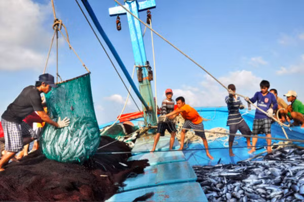 Việt Nam đã có những chuyển biến tích cực trong việc gỡ “thẻ vàng” IUU2 Việt Nam đã có những chuyển biến tích cực trong việc gỡ “thẻ vàng” IUU2