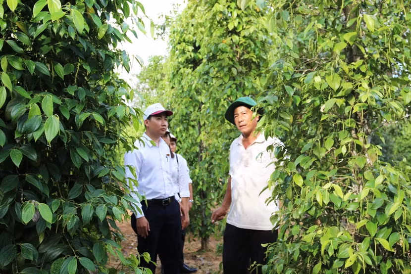 Agribank tiếp tục hỗ trợ và đồng hành cùng doanh nghiệp, người dân vượt qua khó khăn, góp phần phục hồi sản xuất kinh doanh sau dịch