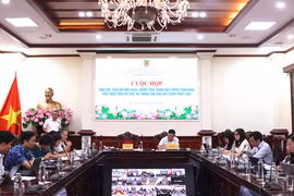 Đẩy nhanh tiến độ tổng rà soát hệ thống văn bản quy phạm pháp luật