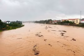 Lũ trên các sông có thể lên trên báo động 3, các địa phương triển khai đảm bảo an toàn đê