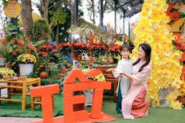 Công chức, người lao động được nghỉ Tết Nguyên đán 2027 liên tục 7 ngày hưởng nguyên lương