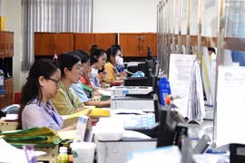 Rà soát việc sử dụng biên chế tại vị trí việc làm công chức