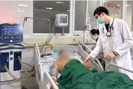 Giám sát phơi nhiễm, hạn chế thấp nhất ca tử vong do bệnh dại