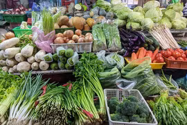Băn khoăn chất lượng rau, quả ngoài chợ, cử tri kiến nghị kiểm soát
