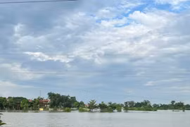 Hà Nội: Hơn 300 hộ dân tại xã Trung Giã bị ngập do nước sông dâng cao