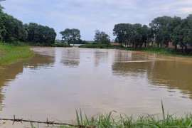 Hà Nội: Mực nước nhiều sông đã lên mức báo động lũ