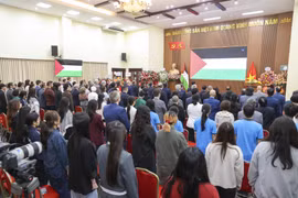 Việt Nam sẵn sàng đóng góp vào nỗ lực chung vì hòa bình ở Dải Gaza