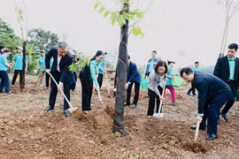 Nông dân Hà Nội chung sức làm mới diện mạo nông thôn